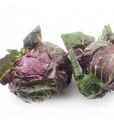 新鲜蔬菜落地球生菜紫苣绿叶红包菜红菊苣生菜5斤